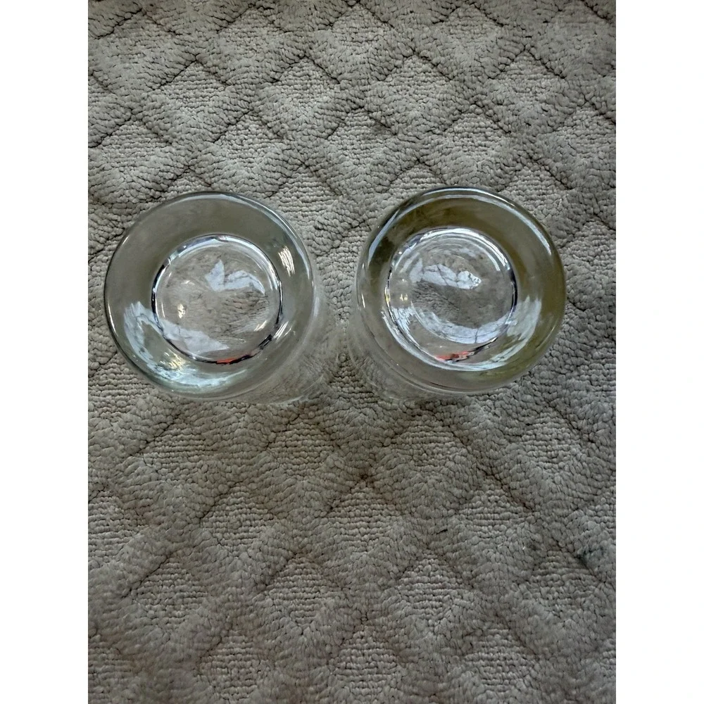 Vintage Mid-Century Etched Floral Highball Glasses, Set of 2